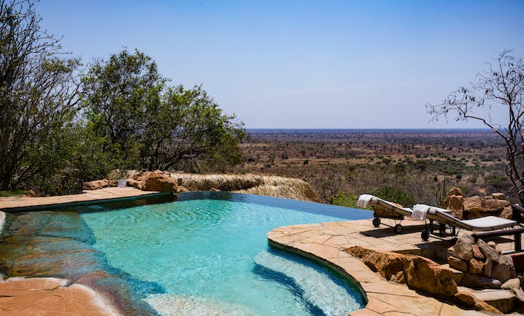 Modern infinity-edge swimming pool in a Surprise, Arizona backyard